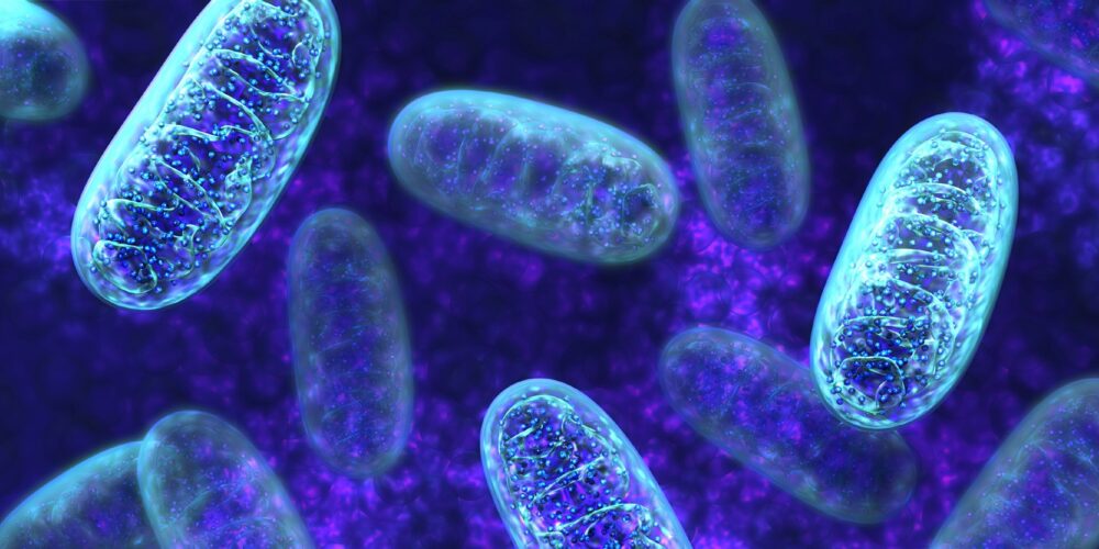 Boostez vos mitochondries avec le bleu de méthylène